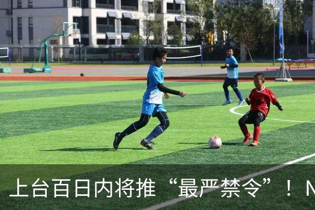 上台百日内将推“最严禁令”！NZ工党宣布大选新政！国家党曾支持，他们强烈反对！