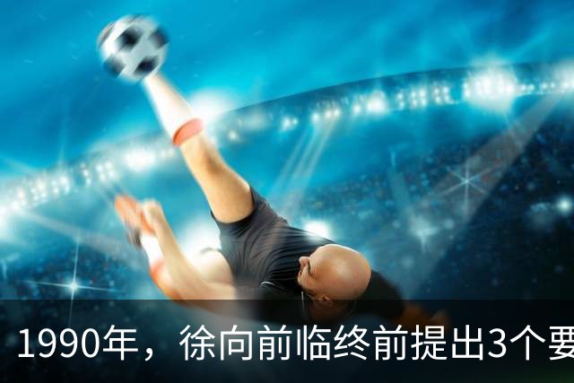 1990年，徐向前临终前提出3个要求，中央为何拒绝执行？